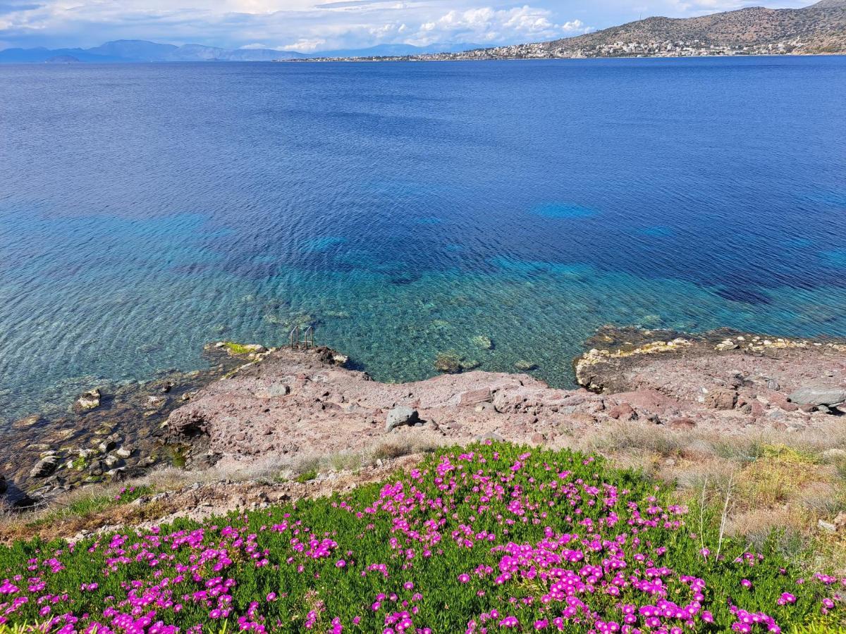 Almyra seaside Villa Perdika  Dış mekan fotoğraf