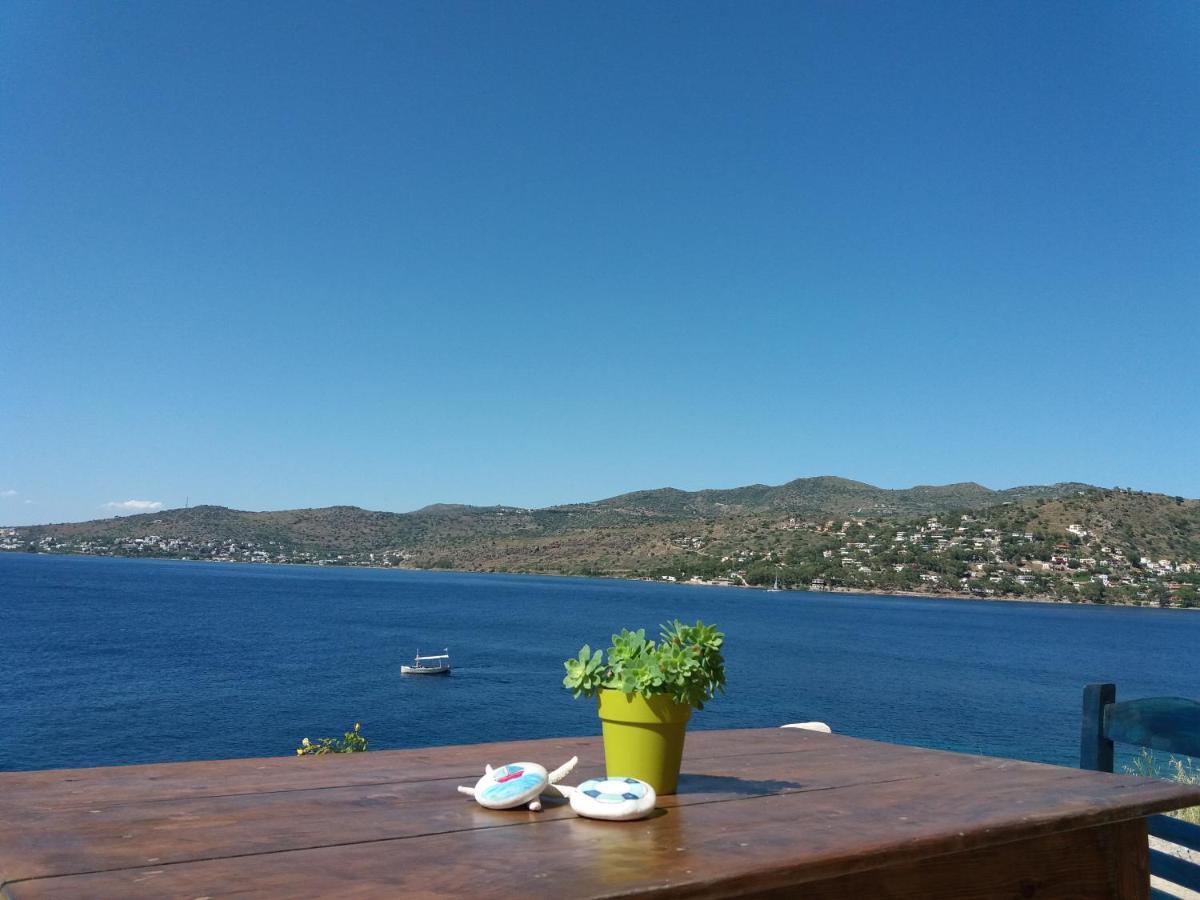 Almyra seaside Villa Perdika  Dış mekan fotoğraf